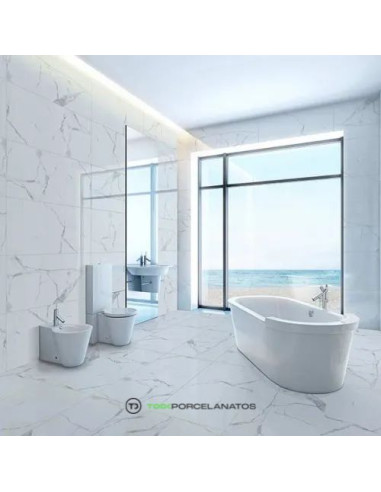 Vite Calacatta Pulido 80 X 80
